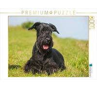 CALVENDO Puzzle Schnauzer géant couché dans l'herbe 1000 Pieces 64 x 48 cm from Sista-Tierfoto