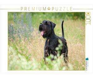 CALVENDO Puzzle Schnauzer géant - Noir 1000 Pieces 64 x 48 cm from Martina Wrede