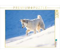 CALVENDO Puzzle Schnee-Wolf 1000 Teile Puzzle quer | 1000 Teile Lege-Größe 64x48
