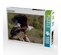 CALVENDO Puzzle Schreiseeadlerpaar 1000 Teile Puzzle quer 1000 Pieces 64 x 48 cm from Barbara Bethke