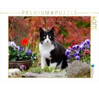 CALVENDO Puzzle Schwarz-weiße Katze im blühenden Garten 1000 Teile Puzzle quer 1000 Pieces 64 x 48 cm from Katho Menden