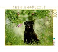 CALVENDO Puzzle Schwarzer Mops 1000 Teile Puzzle quer | 1000 Teile Lege-Größe 64