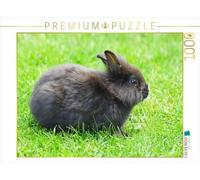 CALVENDO Puzzle Schwarzes Zwergkaninchen 1000 Teile Puzzle quer 1000 Pieces 64 x 48 cm from Kattobello
