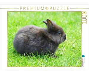 CALVENDO Puzzle Schwarzes Zwergkaninchen 1000 Teile Puzzle quer 1000 Pieces 64 x 48 cm from Kattobello