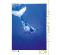 CALVENDO Puzzle Schweben wie ein Adler 1000 Teile Puzzle hoch | 1000 pieces, fin