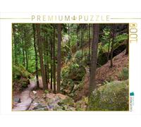 CALVENDO Puzzle Schwedenlöcher im Elbsandsteingebirge 1000 Teile Puzzle quer 1000 Pieces 64 x 48 cm from Veronika Rix