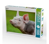 CALVENDO Puzzle Schwein 1000 Teile Puzzle quer 1000 Pieces 64 x 48 cm from Bo Valentino