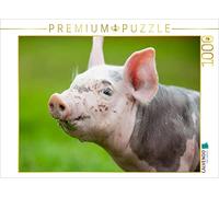 CALVENDO Puzzle Schwein 1000 Teile Puzzle quer 1000 Pieces 64 x 48 cm from Bo Valentino
