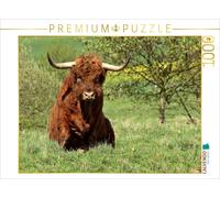 CALVENDO Puzzle Scottish Highland bull with a yellow wagtail (Motacilla flava) |