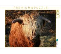 CALVENDO Puzzle Scottish Highland Cattle | 1000 pieces, finished size 25.2 × 18.