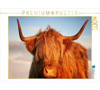 CALVENDO Puzzle Scottish Highland Cattle, Highland Cattle | 1000 pieces, finishe