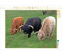 CALVENDO Puzzle Scottish Highland cattle in three colors | 1000 pieces, finished
