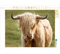 CALVENDO Puzzle Scottish Highland cow | 1000 pieces, finished size 25.2 × 18.9 i