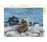 Puzzle CALVENDO otarie | 1000 pièces, format assemblé 64 × 48 cm | Puzzle photo
