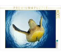 CALVENDO Puzzle sea turtle | 1000 pieces, finished size 25.2 × 18.9 in (64 × 48