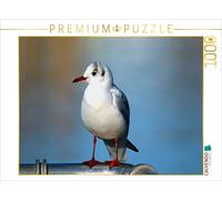 Puzzle CALVENDO Le pic des mouettes | 1000 pièces, format assemblé 64 × 48 cm |