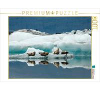Puzzle CALVENDO Les phoques à Jökulsarlon | 1000 pièces, format assemblé 64 × 48