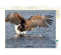 CALVENDO Puzzle Seeadler 1000 Teile Puzzle quer 1000 Pieces 64 x 48 cm from Stephan Peyer