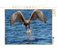 CALVENDO Puzzle Seeadler 1000 Teile Puzzle quer 1000 Pieces 64 x 48 cm from Stephan Peyer