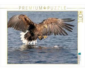 CALVENDO Puzzle Seeadler 1000 Teile Puzzle quer 1000 Pieces 64 x 48 cm from Stephan Peyer
