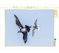 CALVENDO Puzzle Seeschwalbe und Raubmöwe 1000 Teile Puzzle quer | 1000 pieces, f