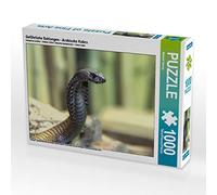 CALVENDO Puzzle Serpents Dangereux - Cobra d'Arabie 1000 Pieces 64 x 48 cm from Michael Herzog
