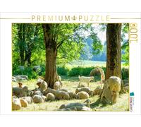 CALVENDO Puzzle Sheep | 1000 pieces, finished size 25.2 × 18.9 in (64 × 48 cm) |