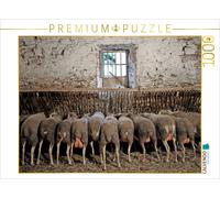 CALVENDO Puzzle Sheep at the trough | 1000 pieces, finished size 25.2 × 18.9 in
