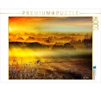CALVENDO Puzzle Sheep grazing in the pasture at sunrise | 1000 pieces, finished