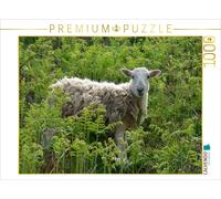CALVENDO Puzzle Sheep in the ferns | 1000 pieces, finished size 25.2 × 18.9 in (