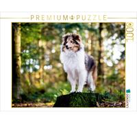 CALVENDO Puzzle Sheltie Bailey im verwunschenen Wald. 1000 Teile Puzzle quer | 1
