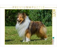 CALVENDO Puzzle Sheltie - ein Traum von einem Rüden | 1000 Teile Lege-Größe 64x4