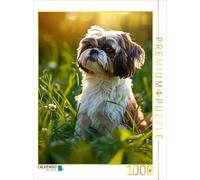 CALVENDO Puzzle Shih Tzu, should I hide in the grass | 1000 pieces, finished siz