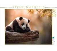 CALVENDO Puzzle si Vous Pouvez Bien Dormir Ici en Toute tranquillité | Taille de la Pose du Puzzle Photo pour des Heures heureuses