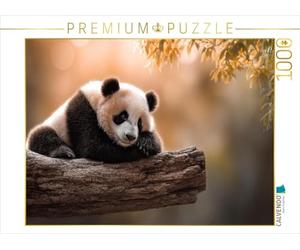 CALVENDO Puzzle si Vous Pouvez Bien Dormir Ici en Toute tranquillité | Taille de la Pose du Puzzle Photo pour des Heures heureuses
