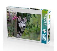 CALVENDO Puzzle Siberian Husky 1000 Teile Puzzle quer 1000 Pieces 64 x 48 cm from Barbara Mielewczyk