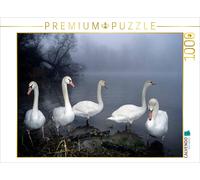 CALVENDO Puzzle des cygnes tuberculés. France 1000 Pieces 64 x 48 cm from Philippe Henry