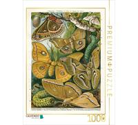 CALVENDO Puzzle Silkworm, Artist: E. Morin (1824-1882) | 1000 pieces, finished s