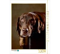 CALVENDO Puzzle Simba - Labrador x Rottweiler Mix - 4 Ans - 1000 pièces - Taille de la Pose 48 x 64 cm - Photo Puzzle Image de Jana Behr