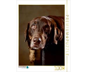 CALVENDO Puzzle Simba - Labrador x Rottweiler Mix - 4 Ans - 1000 pièces - Taille de la Pose 48 x 64 cm - Photo Puzzle Image de Jana Behr