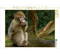 CALVENDO Puzzle Simplement Stupide 1000 Pieces 64 x 48 cm from Sigrid Enkemeier