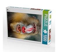 CALVENDO Puzzle Singe 1000 Pieces 48 x 64 cm from Peter Roder