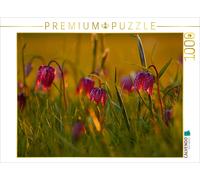 CALVENDO Puzzle Small Lanterns - Checkerboard Flowers in the Evening Light | 100