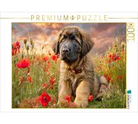 CALVENDO Puzzle Small Leonberger as a heartbreaker | 1000 pieces, finished size