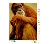 CALVENDO Puzzle Snacking Orang Utan 1000 Pieces 48 x 64 cm from Heike Hultsch