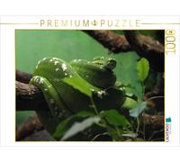 CALVENDO Puzzle Schlange 1000 Teile Puzzle quer 1000 Pieces 64 x 48 cm from Conny Krakowski