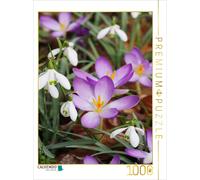 Puzzle · Perce-Neige et Crocus | Les messagers du printemps dans le jardin · 1000 pièces · Format assemblé 64 × 48 cm · CALVENDO Puzzle