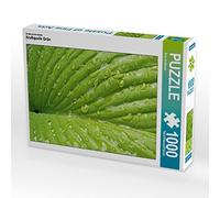 CALVENDO Puzzle Source d'alimentation Verte 1000 Pieces 64 x 48 cm from Ilona Andersen