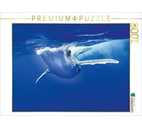 CALVENDO Puzzle sous-Marin - 1000 pièces - Dimensions : 64 x 48 cm - Puzzle Photo pour des Heures de Bonheur