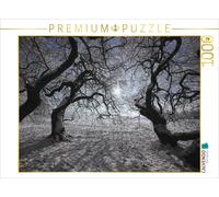 CALVENDO Puzzle sud vers Le Soleil d'hiver 1000 pièces Taille 64 x 48 cm Image de Bernhard Loewa